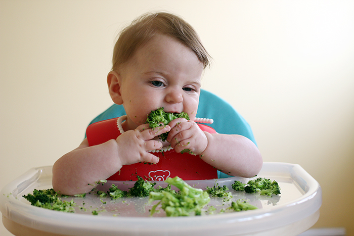 Bioacimin - 04 - May - Những điều mẹ cần biết về chế độ ăn dặm Baby Wed Leaning1