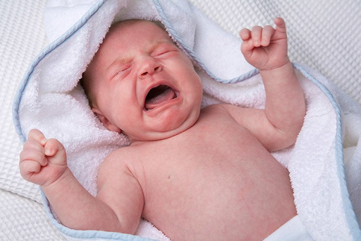 Trẻ sơ sinh dễ bị đầy bụng, tiêu hóa kém do hệ vi sinh chưa hoàn thiện.