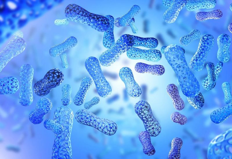 com-vi-sinh-chua-tao-bon-2