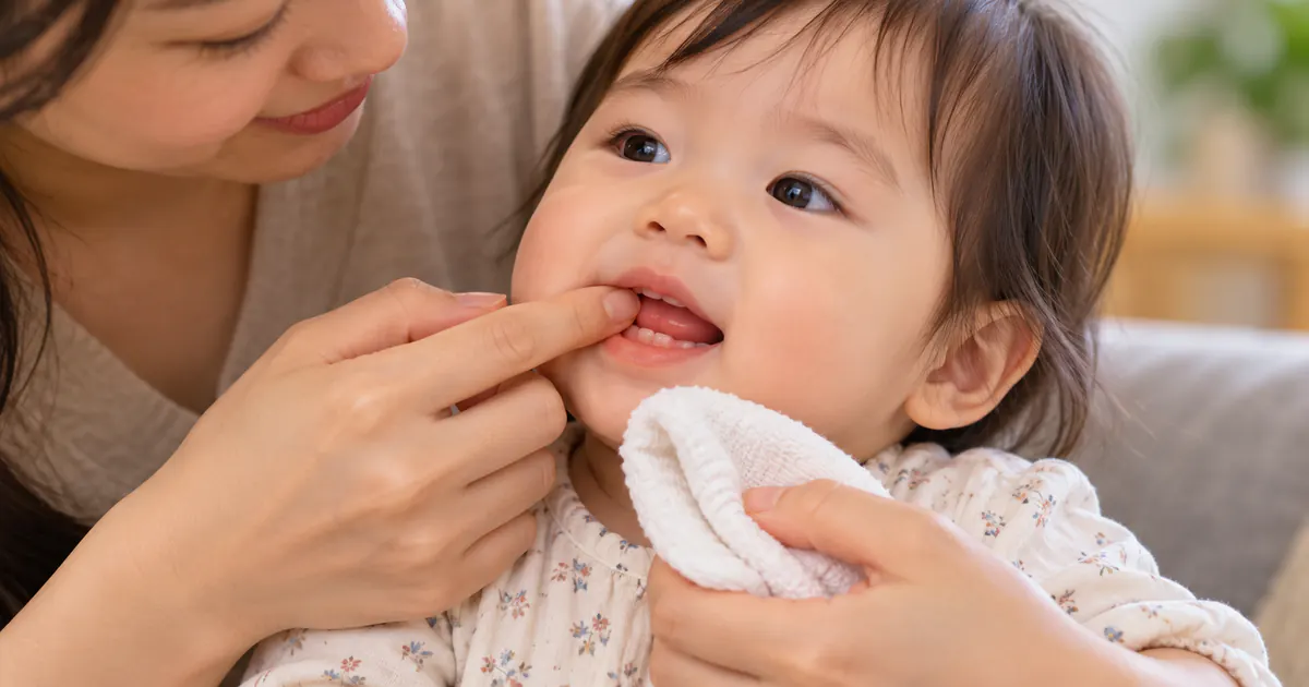 Cha mẹ xoa nhẹ nướu cho trẻ mọc răng bằng tay sạch